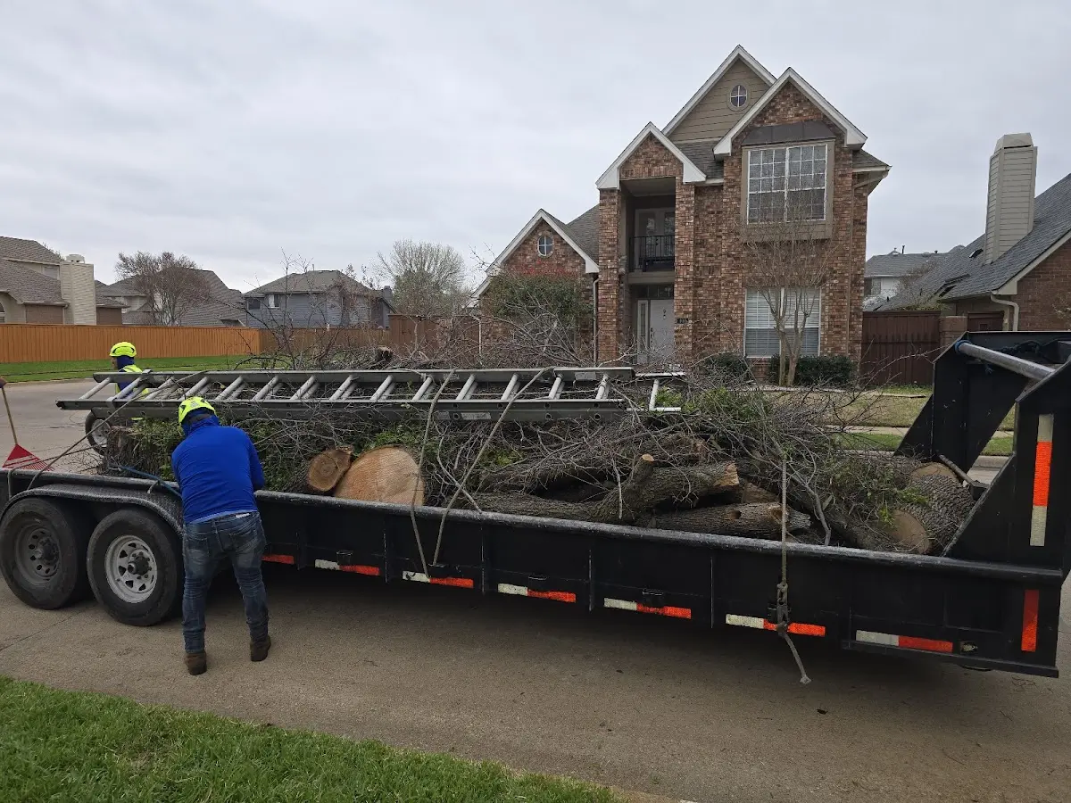 Expert Lot Clearing with proper safety equipment in La Porte
